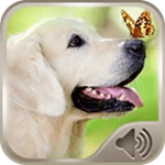 Logo of Dog Sounds Ringtones android Application 